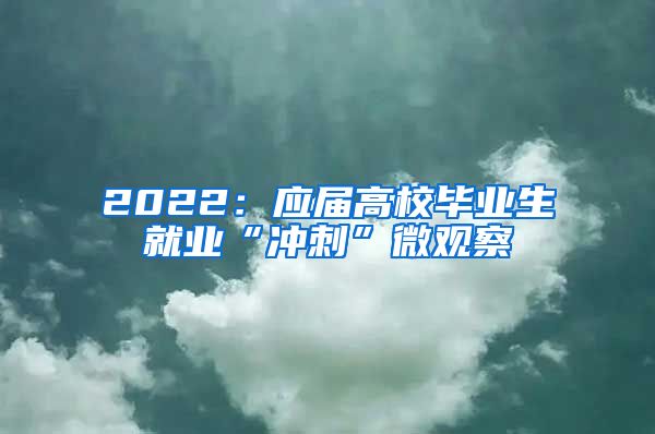 2022：应届高校毕业生就业“冲刺”微观察