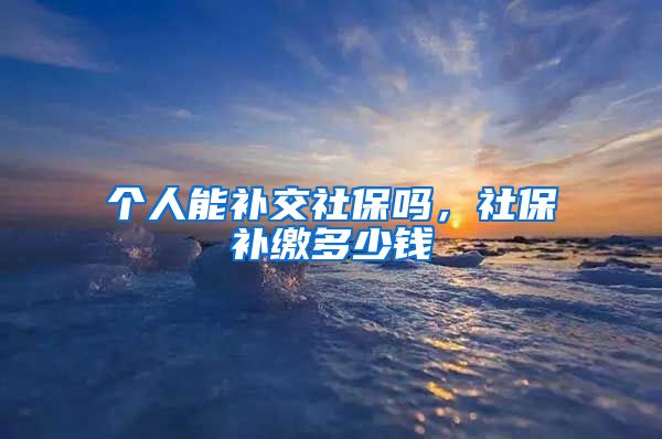 个人能补交社保吗，社保补缴多少钱