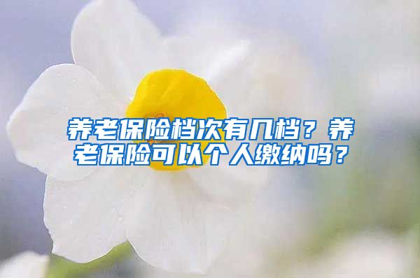 养老保险档次有几档？养老保险可以个人缴纳吗？