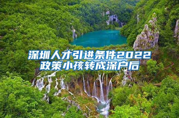 深圳人才引进条件2022政策小孩转成深户后