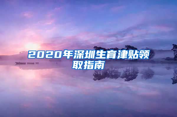 2020年深圳生育津贴领取指南