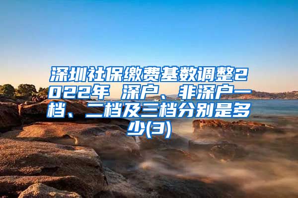 深圳社保缴费基数调整2022年 深户、非深户一档、二档及三档分别是多少(3)