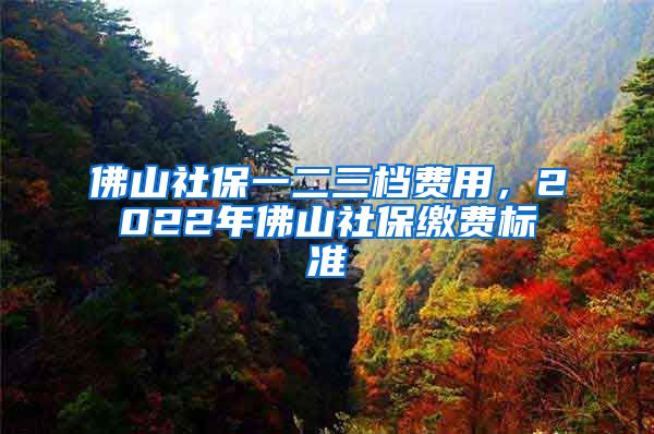 佛山社保一二三档费用，2022年佛山社保缴费标准