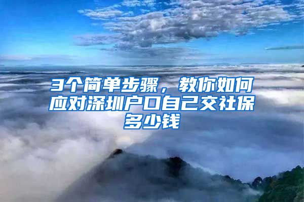 3个简单步骤，教你如何应对深圳户口自己交社保多少钱