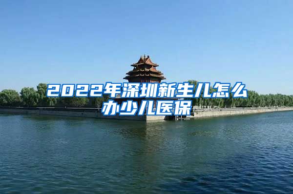 2022年深圳新生儿怎么办少儿医保