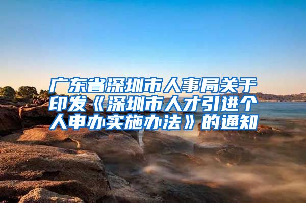 广东省深圳市人事局关于印发《深圳市人才引进个人申办实施办法》的通知