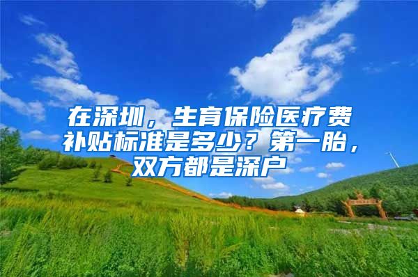 在深圳，生育保险医疗费补贴标准是多少？第一胎，双方都是深户