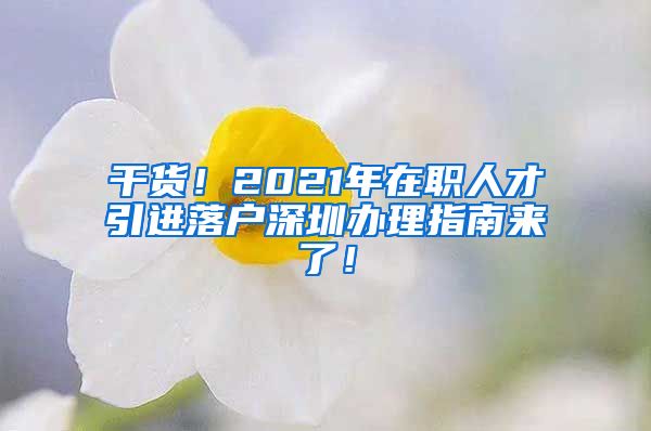 干货！2021年在职人才引进落户深圳办理指南来了！