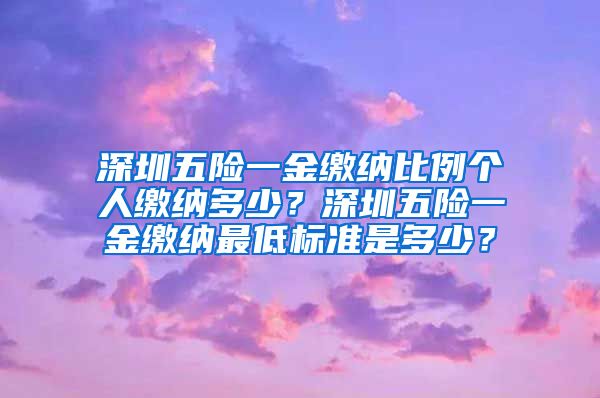 深圳五险一金缴纳比例个人缴纳多少？深圳五险一金缴纳最低标准是多少？