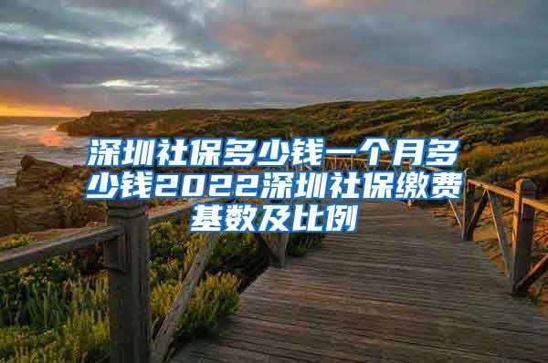 深圳社保多少钱一个月多少钱2022深圳社保缴费基数及比例