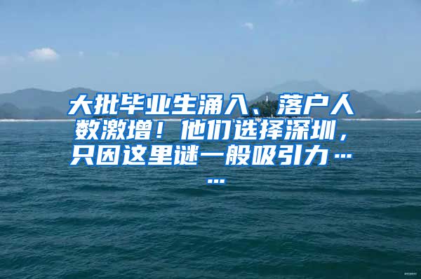 大批毕业生涌入、落户人数激增！他们选择深圳，只因这里谜一般吸引力……