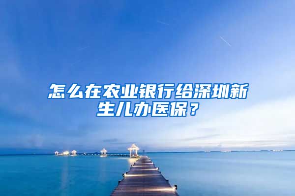 怎么在农业银行给深圳新生儿办医保？