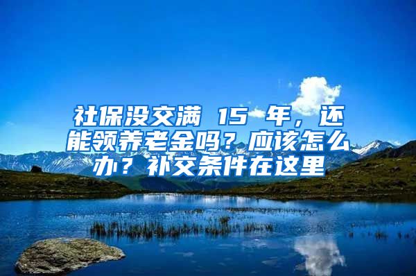 社保没交满 15 年，还能领养老金吗？应该怎么办？补交条件在这里