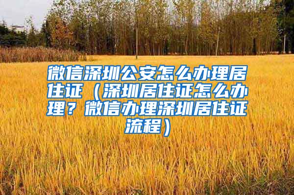 微信深圳公安怎么办理居住证（深圳居住证怎么办理？微信办理深圳居住证流程）