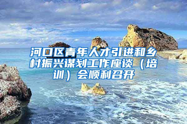 河口区青年人才引进和乡村振兴谋划工作座谈（培训）会顺利召开