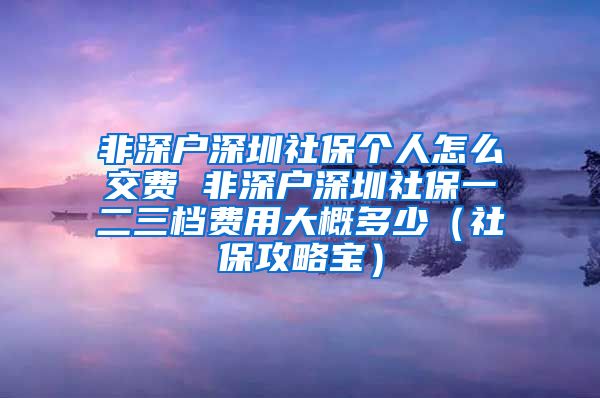 非深户深圳社保个人怎么交费 非深户深圳社保一二三档费用大概多少（社保攻略宝）