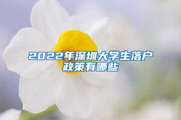 2022年深圳大学生落户政策有哪些