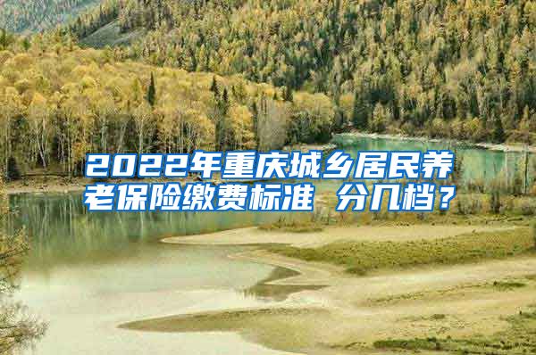 2022年重庆城乡居民养老保险缴费标准 分几档？