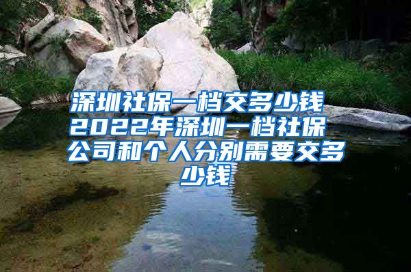 深圳社保一档交多少钱 2022年深圳一档社保 公司和个人分别需要交多少钱