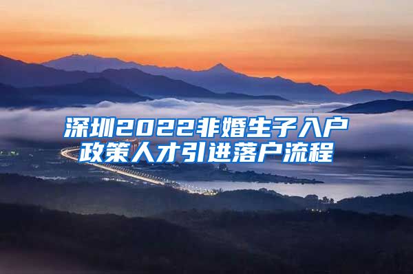 深圳2022非婚生子入户政策人才引进落户流程