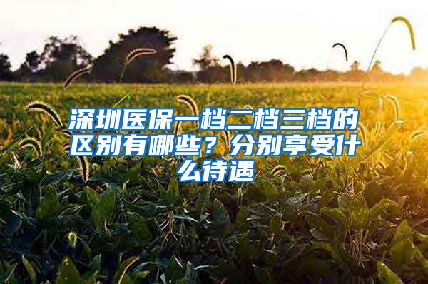 深圳医保一档二档三档的区别有哪些？分别享受什么待遇