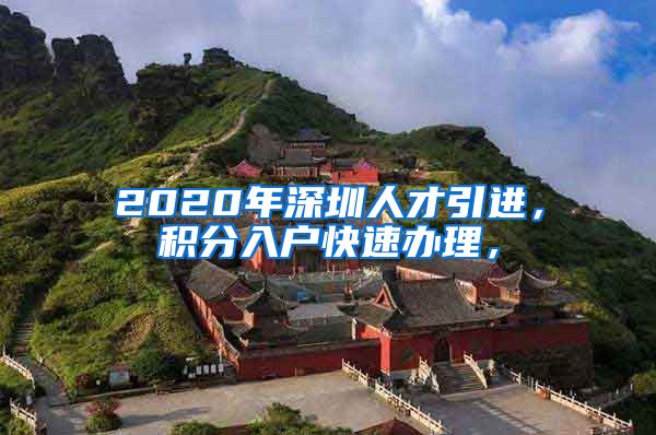 2020年深圳人才引进，积分入户快速办理，