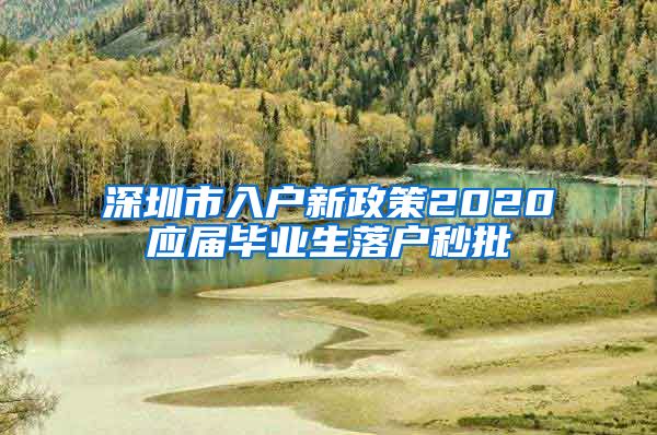 深圳市入户新政策2020应届毕业生落户秒批