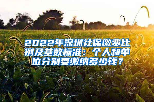 2022年深圳社保缴费比例及基数标准：个人和单位分别要缴纳多少钱？