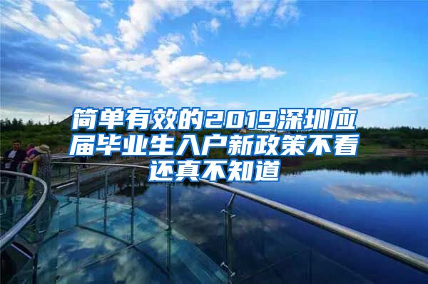 简单有效的2019深圳应届毕业生入户新政策不看还真不知道