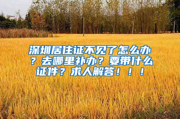 深圳居住证不见了怎么办？去哪里补办？要带什么证件？求人解答！！！