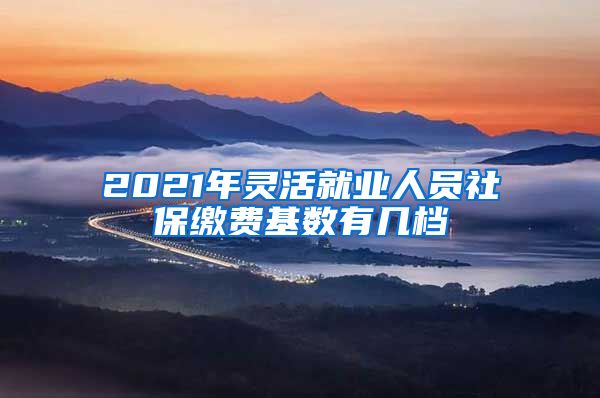 2021年灵活就业人员社保缴费基数有几档