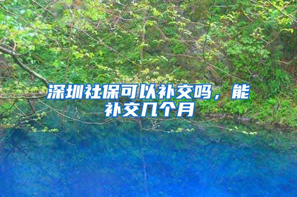 深圳社保可以补交吗，能补交几个月