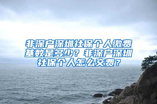 非深户深圳社保个人缴费基数是多少？非深户深圳社保个人怎么交费？