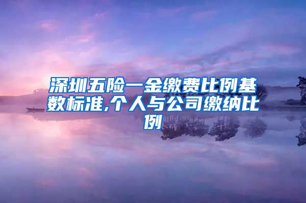 深圳五险一金缴费比例基数标准,个人与公司缴纳比例