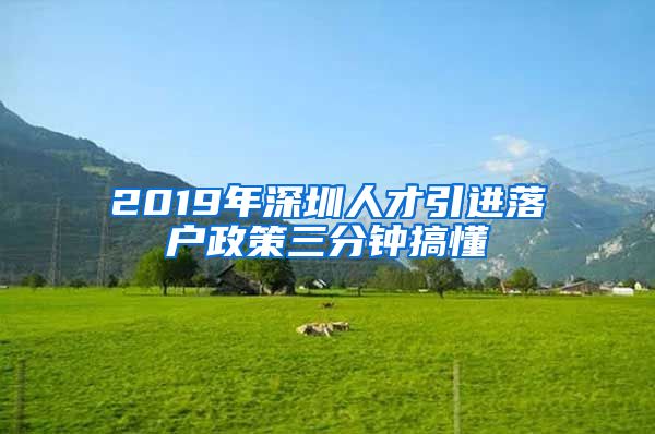 2019年深圳人才引进落户政策三分钟搞懂