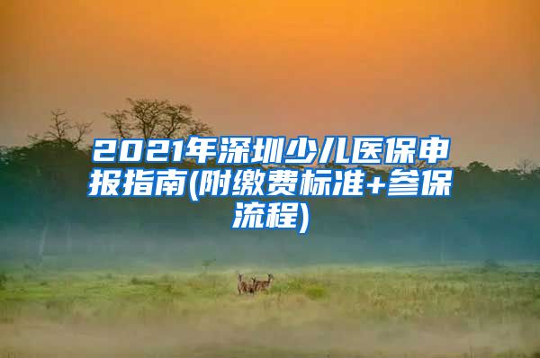 2021年深圳少儿医保申报指南(附缴费标准+参保流程)