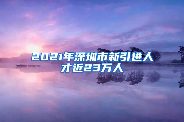 2021年深圳市新引进人才近23万人