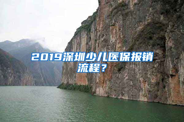 2019深圳少儿医保报销流程？