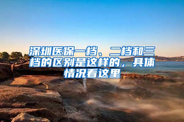 深圳医保一档、二档和三档的区别是这样的，具体情况看这里