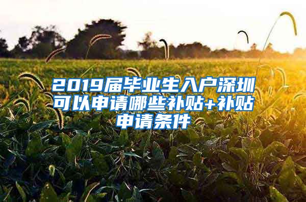 2019届毕业生入户深圳可以申请哪些补贴+补贴申请条件