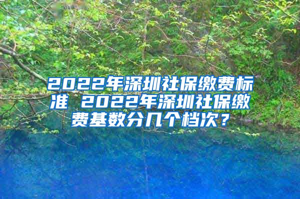 2022年深圳社保缴费标准 2022年深圳社保缴费基数分几个档次？