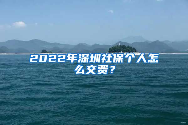 2022年深圳社保个人怎么交费？