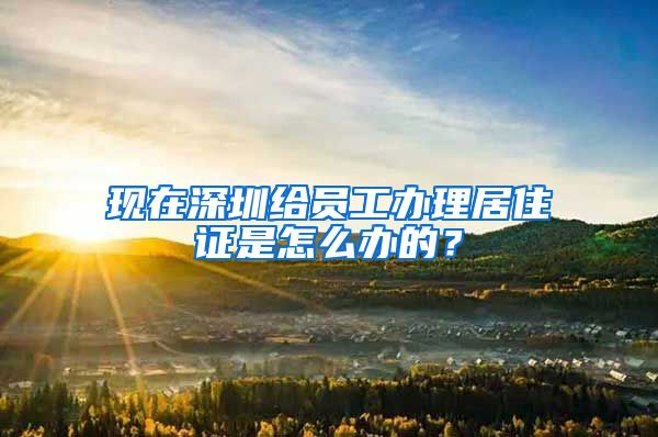 现在深圳给员工办理居住证是怎么办的？