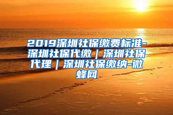 2019深圳社保缴费标准-深圳社保代缴｜深圳社保代理｜深圳社保缴纳-微蜂网