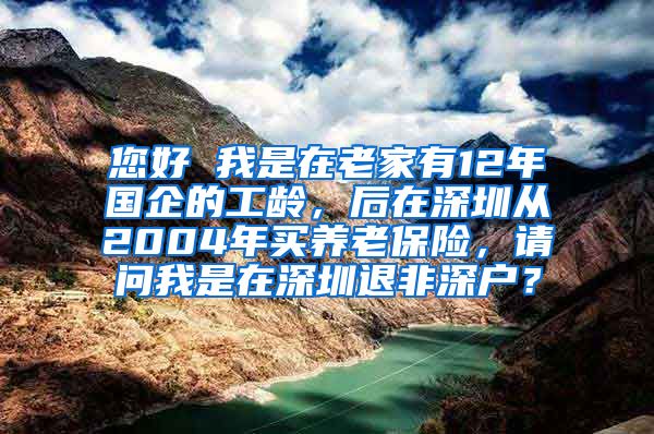 您好 我是在老家有12年国企的工龄，后在深圳从2004年买养老保险，请问我是在深圳退非深户？