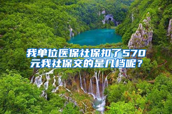 我单位医保社保扣了570元我社保交的是几档呢？