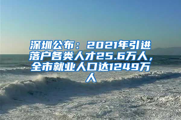 深圳公布：2021年引进落户各类人才25.6万人，全市就业人口达1249万人