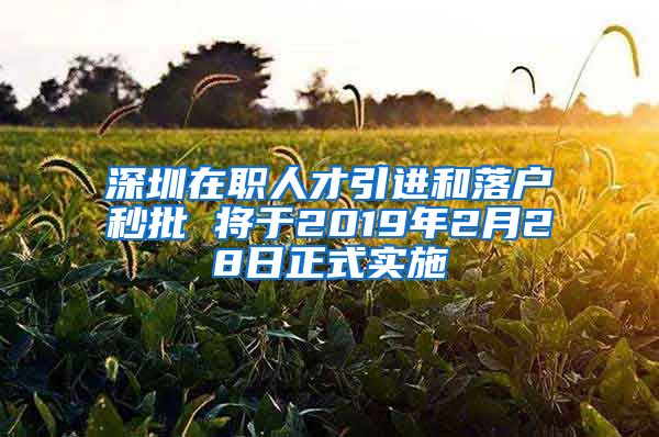 深圳在职人才引进和落户秒批 将于2019年2月28日正式实施