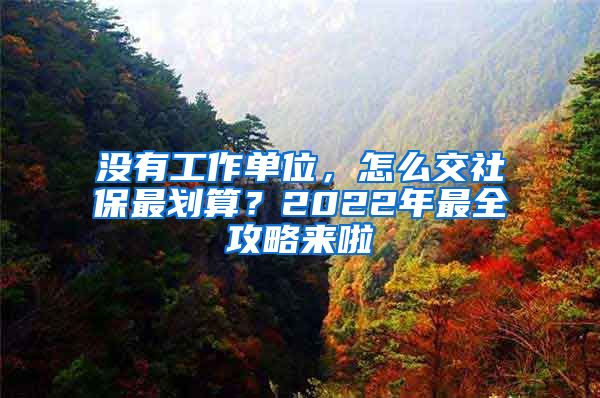 没有工作单位，怎么交社保最划算？2022年最全攻略来啦