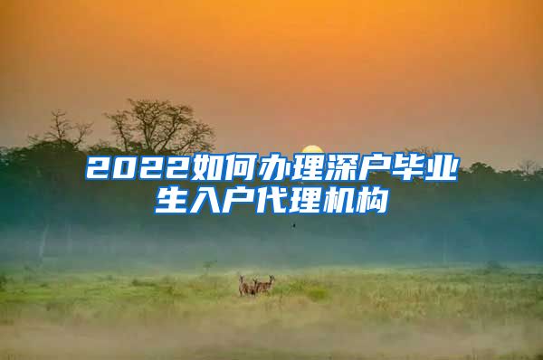 2022如何办理深户毕业生入户代理机构